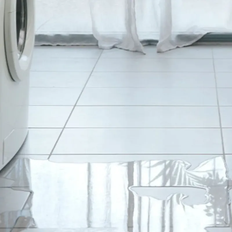 Appliance Leak Cleanup in Sunnyvale, CA